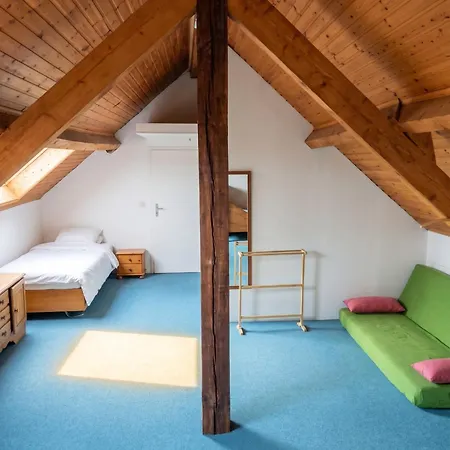 Spacious Family House In Haut-fays, 250 M² With Garden Holiday home *