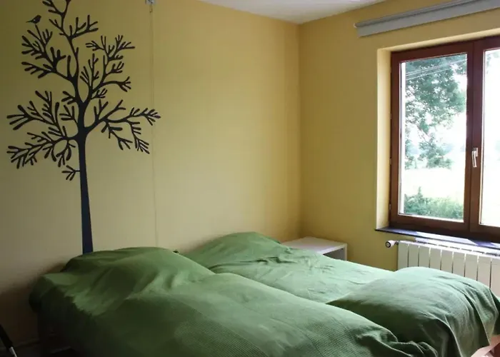 Holiday home Spacious Family House In Haut-fays, 250 M² With Garden Haut-Fays