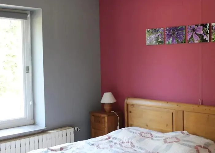 Holiday home Spacious Family House In Haut-fays, 250 M² With Garden *