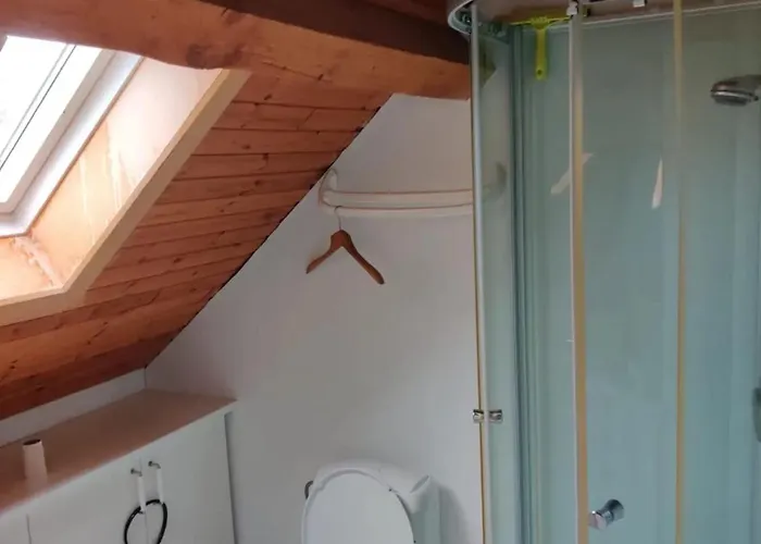 Spacious Family House In Haut-fays, 250 M² With Garden Haut-Fays